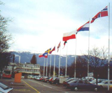 Polska flaga przed brama CERN-u