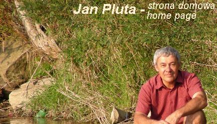 P�awna'2008